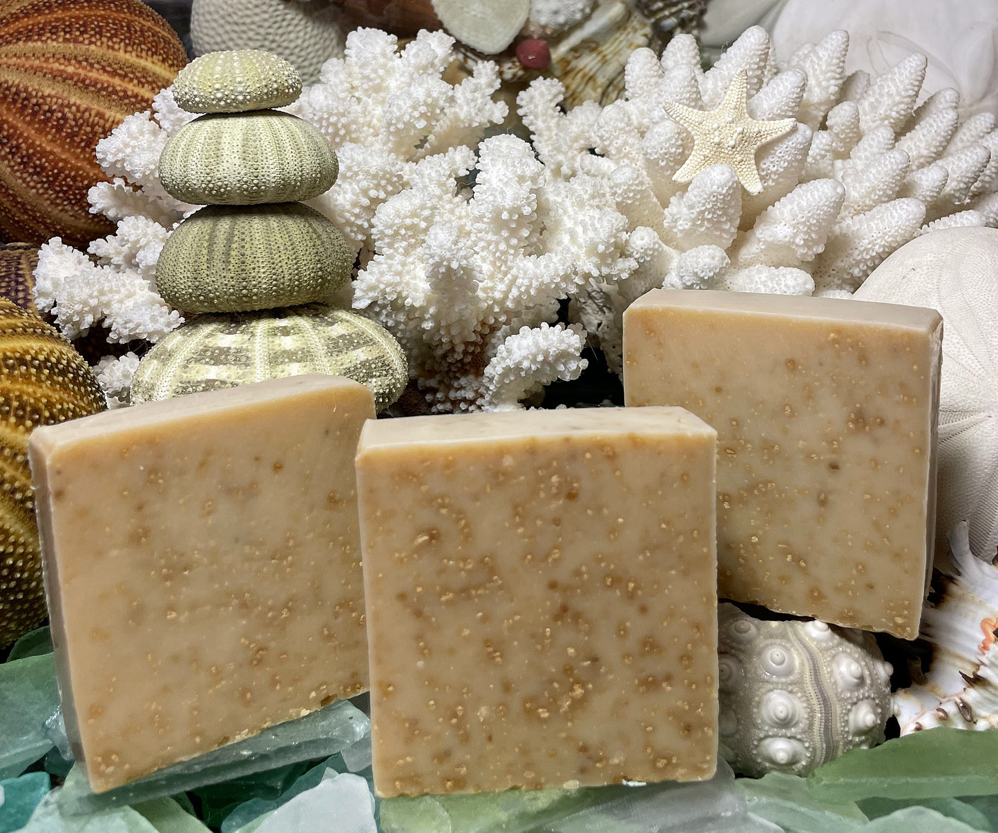Caramelized Goat Milk & Honey