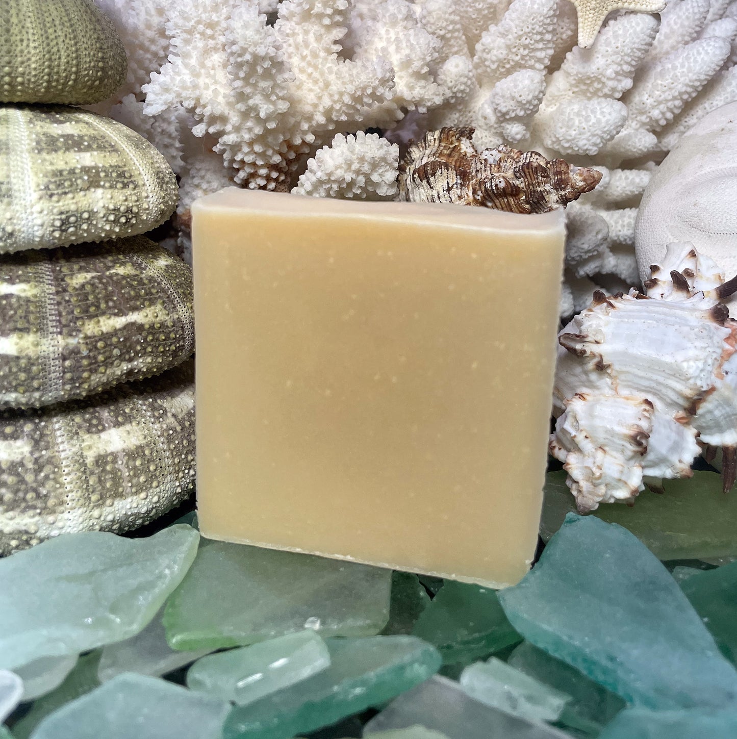 Caramelized Goat Milk & Honey Soap Gift Box