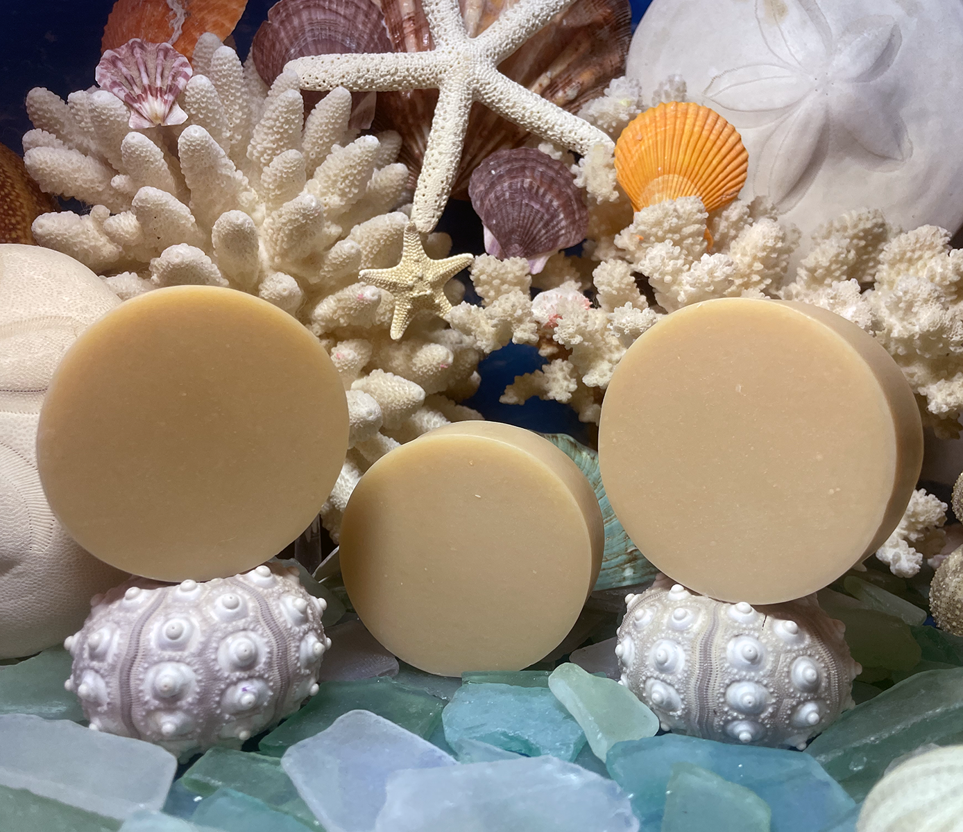 Sun Kissed Milk & Mineral Facial Bar – Donkey Milk Facial Soap