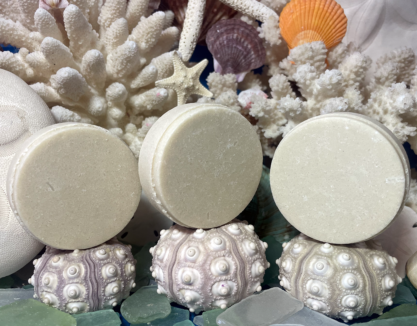 Sun Kissed Coast Shampoo Bar