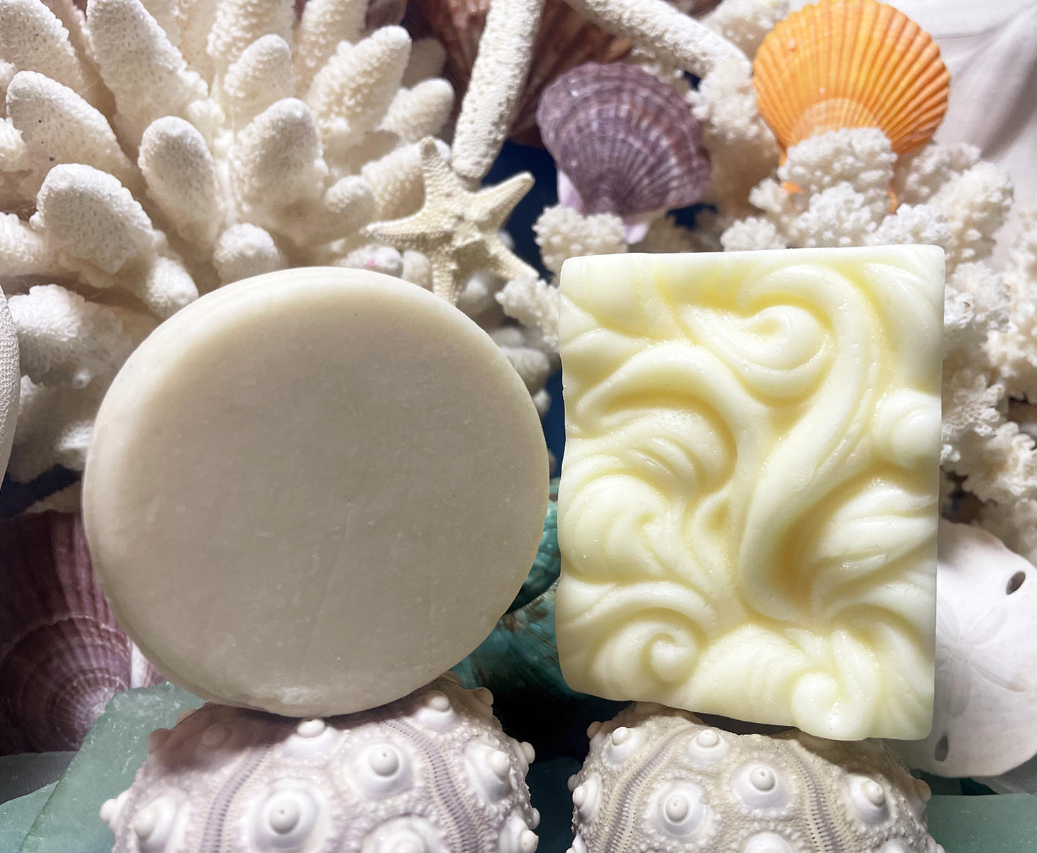 Sun Kissed Coast shampoo and conditioner bars styled with seashells, coastal plastic-free haircare collection