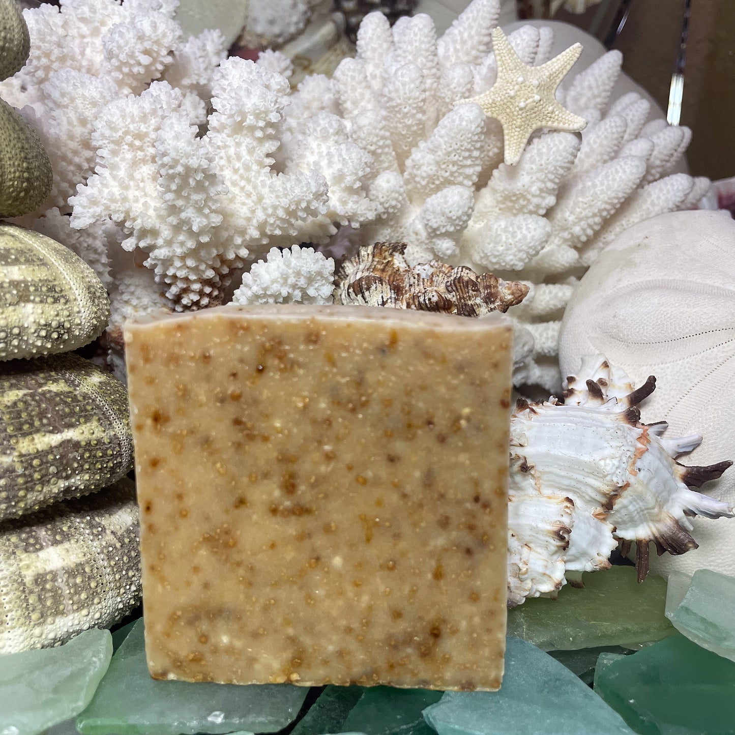 Caramelized Goat Milk & Honey Soap Gift Box