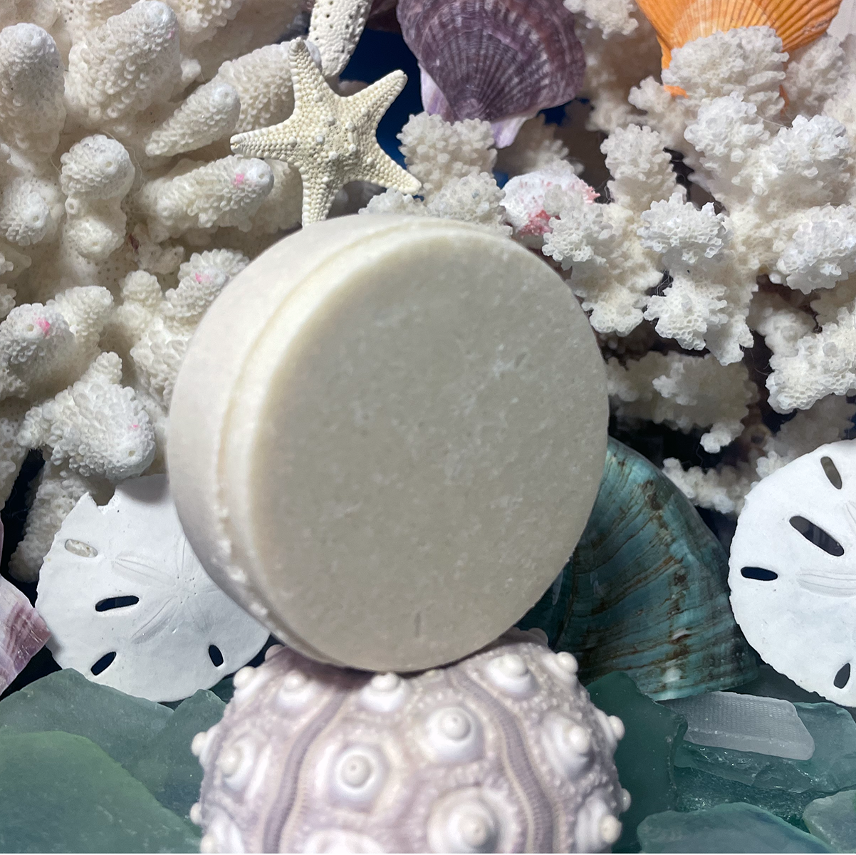 2. Cream-colored solid shampoo bar with textured swirl top, coastal haircare product with argan oil and ylang ylang