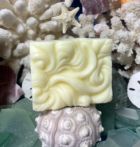 1. Sun Kissed Coast conditioning bar, solid conditioner for soft and shiny hair