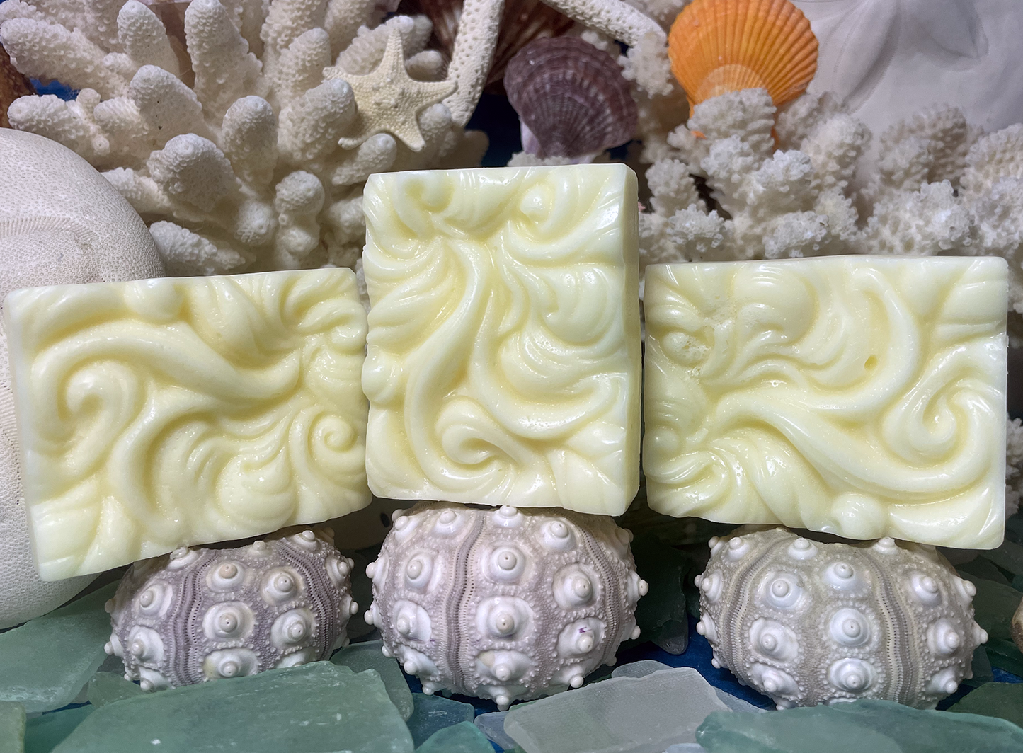Sun Kissed Coast Conditioning Bar