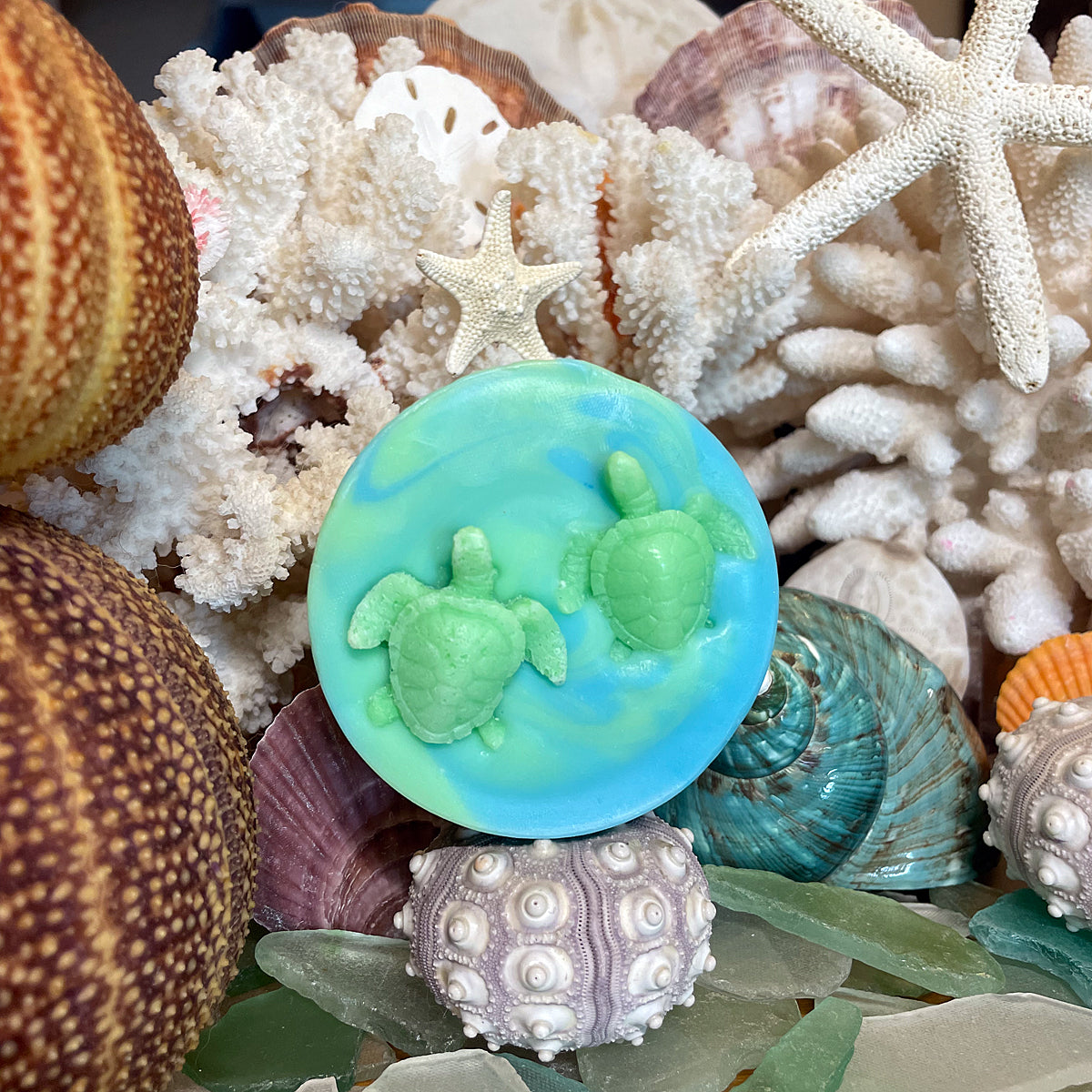 Turtle Track Soap